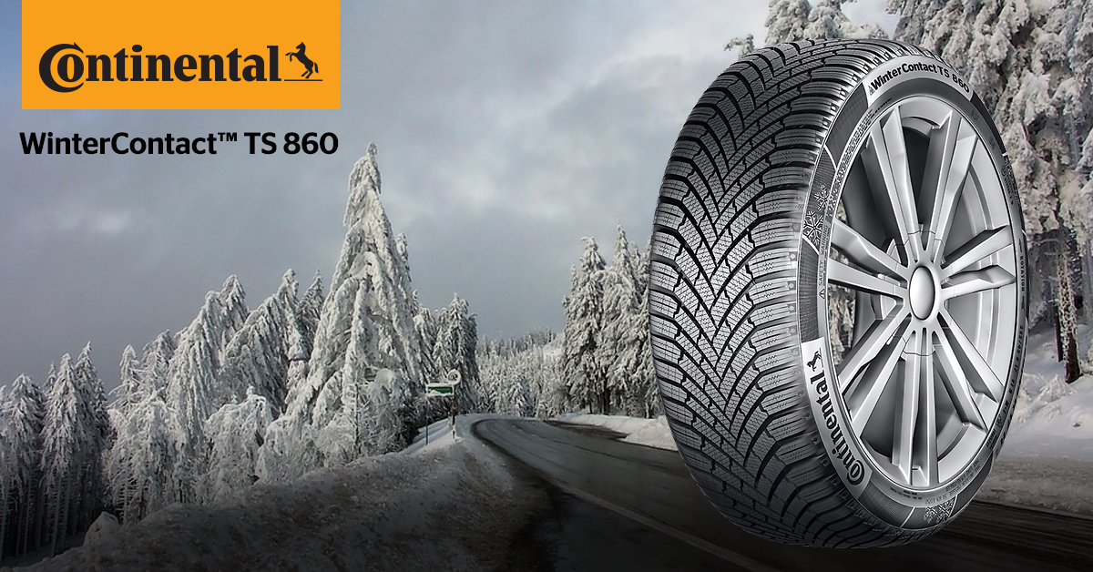 Continental Wintercontact Ts 860 Bsw 195 65 R15 91t www.vujacic-company.me